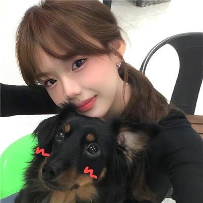 晚爱拾照终相逢